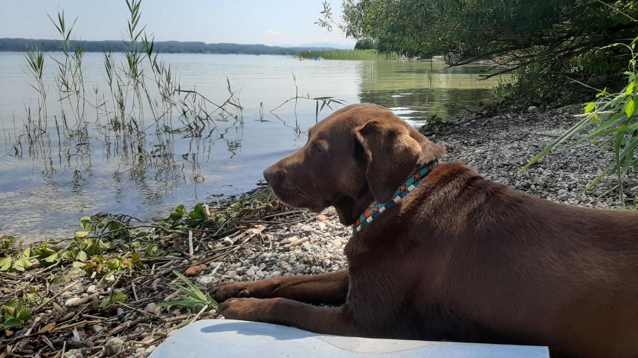 Kultur, Berge, Seen, Moor - Das Lebensglueck Murnau am Staffelsee Bagian luar foto