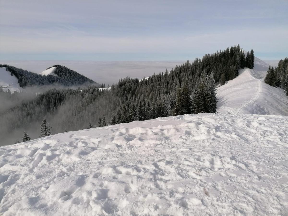 Kultur, Berge, Seen, Moor - Das Lebensglueck Murnau am Staffelsee Bagian luar foto